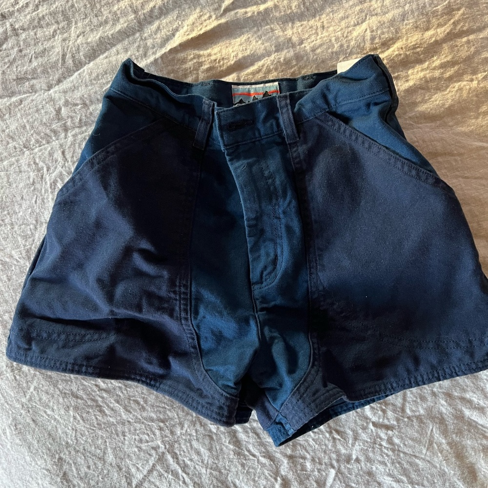 patagonia stand up shorts vote the assholes out